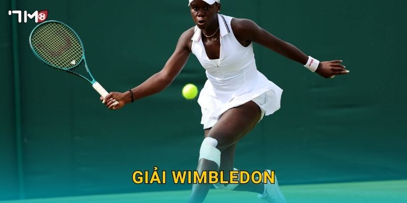 Giải Wimbledon 7M – Thông Tin, Dự Đoán Và Soi Kèo Tennis 2025 1 Giải Wimbledon 7M – Thông Tin, Dự Đoán Và Soi Kèo Tennis 2025