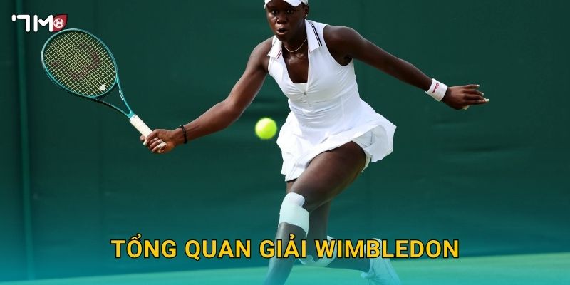 Giải Wimbledon 7M – Thông Tin, Dự Đoán Và Soi Kèo Tennis 2025 2 Tổng quan giải Wimbledon