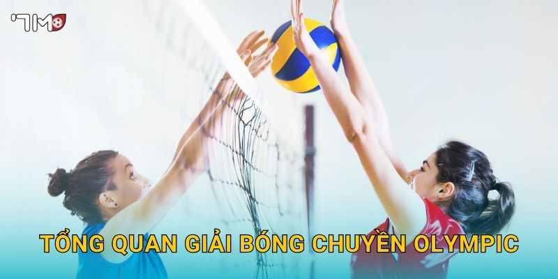 Tổng quan giải bóng chuyền Olympic