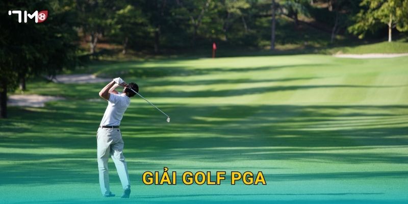 Giải Golf PGA 7M – Phân Tích Tỷ Lệ Kèo Và Dự Đoán Nhà Vô Địch 2025