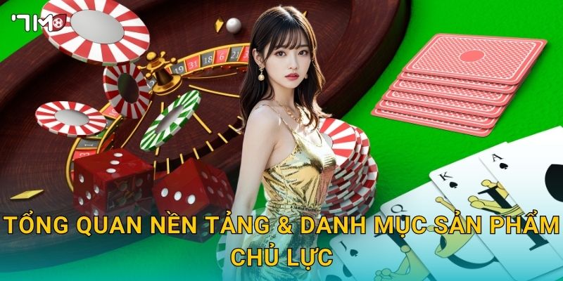 Tổng quan nền tảng & danh mục sản phẩm chủ lực