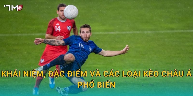 Kèo châu Á 7M – Phân tích tỷ lệ cược, chiến thuật bắt kèo chuẩn 2 Khái niệm, đặc điểm và các loại kèo châu Á phổ biến