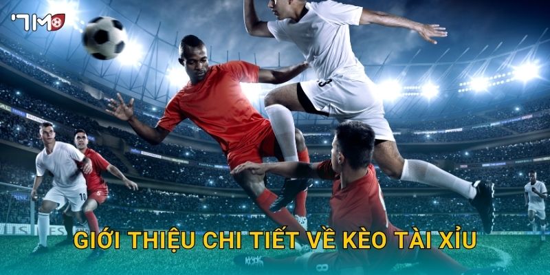 Giới thiệu chi tiết về kèo tài xỉu